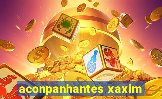 aconpanhantes xaxim